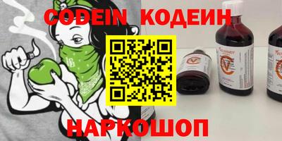 apvp Камышлов