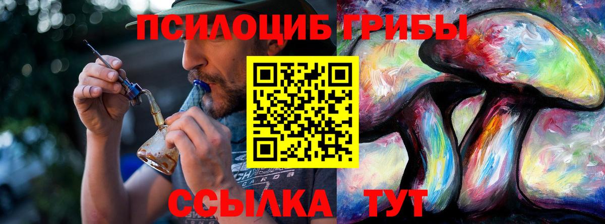 Галлюциногенные грибы Psilocybe  Вход с VPN  Галлюциногенные грибы прущие грибы  Красный Сулин 